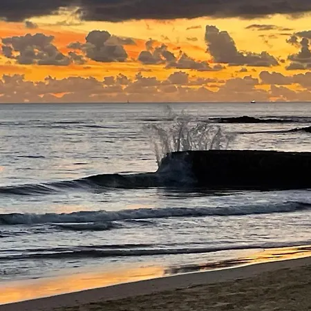 Cozy Beach-nova Sbe